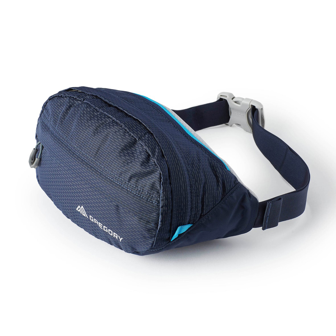 gregory hip pack